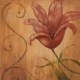 Tiger Lily I Prints by Nan 