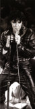 Elvis Presley Poster