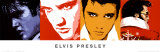 Elvis Pressley Poster