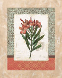 Laurier Rose Prints by Carol Robinson