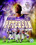 Adrian Peterson Photo