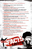 Chuck Norris- Facts 2 Posters