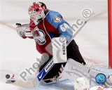 Jose Theodore Photo