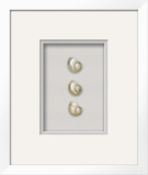 Turbo Pearl on Frosted Silver (Beachcomber Collection) Producto en 3D Turbo Pearl on Frosted Silver (Beachcomber Collection) Producto en 3D