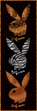 Playboy - Fur Photo