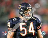 Brian Urlacher Photographie