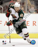 Marian Gaborik Photo