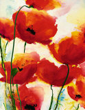 Roter Mohn Affiches par Heidi Reil