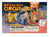 Togare and his Tigers: Bertram Mills' Circus and Menagerie Fotografía