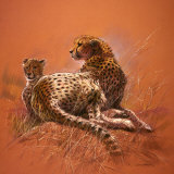 Cheetah Mother Posters by Renato Casaro