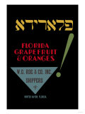 Florida Grapefruit and Oranges Print