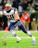 Mike Vrabel Photo