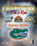 Florida Gators Fotografía