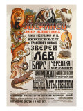 World of Animals Posters by V. Mukhanov