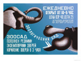 Zoo, Open Daily from 10 to 5 Pósters por Dmitri Bulanov Zoo, Open Daily from 10 to 5 Pósters por Dmitri Bulanov