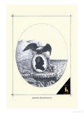 George Washington Bilder av William H. Brown George Washington Bilder av William H. Brown