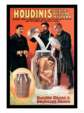 Houdini's Death-Defying Mystery Print