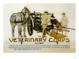 Veterinary Corps. U.S. Army Lámina por Schreck