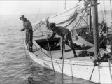 Fishing Oysters in Mobile Bay Posters par Lewis Wickes Hine