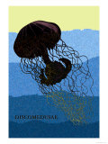 Jellyfish: Discomedusae Affiches par Ernst Haeckel