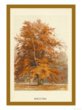 The Beech Tree Posters av W.h.j. Boot The Beech Tree Posters av W.h.j. Boot