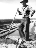 Migrant Irrigator Fotografía por Dorothea Lange