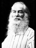Walt Whitman Posters av Mathew B. Brady Walt Whitman Posters av Mathew B. Brady