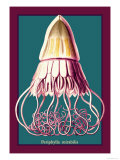Jellyfish: Periphylla Mirabilis Pósters por Ernst Haeckel Jellyfish: Periphylla Mirabilis Pósters por Ernst Haeckel