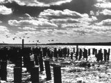 Stratocumulus Following Cold Front Passage Posters by Don Whelpley