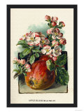 Apple Blossom and Fruit Plakat av W.h.j. Boot Apple Blossom and Fruit Plakat av W.h.j. Boot