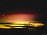 Aurora Australis on Kangaroo Island Affiches par David Miller