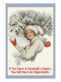 A Snowball's Chance Plakát