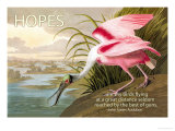 Hopes Are Shy Birds Print by John James Audubon
