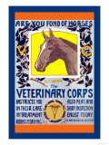 Join the Veterinary Corps Posters par Horst Schreck