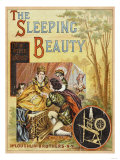 The Sleeping Beauty in the Wood Photo