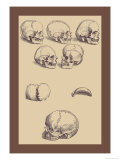 Totenköpfe Kunstdruck von Andreas Vesalius