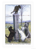 Scottish Terrier, West Highland Terrier, Skye Terrier Prints by Louis Agassiz Fuertes
