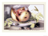 Dish with a Pomegranate, A Grasshopper, A Snail, and Two Chestnuts Photographie par Giovanna Garzoni