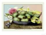 Dish of Medlars, A Rose, and Almonds Posters por Giovanna Garzoni