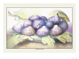 Dish of Figs Posters par Giovanna Garzoni