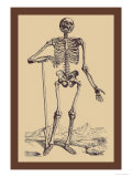 Skeleton with Shovel Poster von Andreas Vesalius
