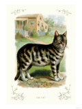 The Cat Prints