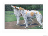 Russian Wolfhound Posters by Louis Agassiz Fuertes