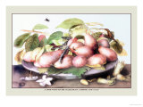 Dish of Plums, Nuts, Jasmine and a Fly Affiches par Giovanna Garzoni