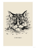Optical Illusion Puzzle: Cat and Butterfly Prints
