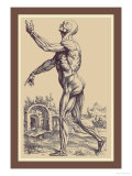 The Second Plate of the Muscles Pósters por Andreas Vesalius