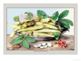 Dish of Broad Beans Affiches par Giovanna Garzoni