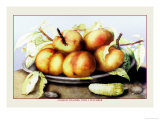 Dish of Peaches with a Cucumber Affiches par Giovanna Garzoni