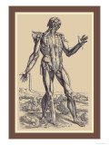 The Fifth Plate of the Muscles Posters par Andreas Vesalius