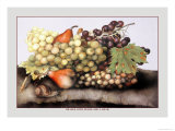Grapes and Pears with a Snail Affiche par Giovanna Garzoni